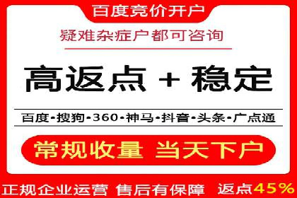知名SEM服务公司成功案例分享
